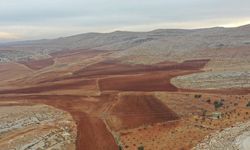 Atıl taşlık araziler tarıma kazandırılıyor