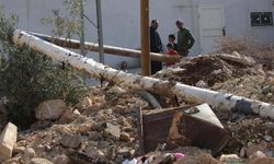 Katil İsrail, işgal altındaki Batı Şeria'da bir haftada 1608 zeytin ağacını kökünden söktü