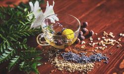 Bitki koruma ürünlerinin satışında yeni dönem