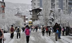 Bitlis'te eğitime kar engeli