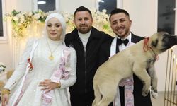 Denizli’de düğünde gelin ve damada takı yerine çoban köpeği hediye edildi
