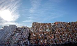 Türkiye, çevreyi korumaya 2024'te 441 milyar lira harcadı