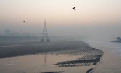 Hindistan'da hava kirliliğinin yol açtığı sis, uçuşlarda aksaklıklara neden oldu