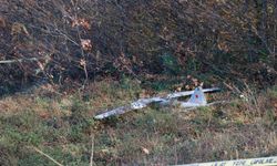 Rus İHA’sını baltayla indirdi