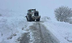 17 ilde yoğun kar: 4 bin 133 yol ulaşıma kapandı