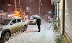 Van'ın yüksek kesimlerinde kar etkili oldu