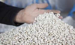 DMM, 'kuru fasulye krizi' iddiasını yalanladı