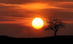 Kuzey Yarım Küre kışı 'en uzun gece' ile karşılıyor