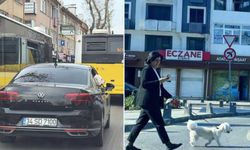 Üsküdar'da makam aracını köpeğe tahsis ettiler