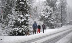 ABD dondurucu soğukların etkisi altında kalacak