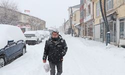 Bingöl, Elazığ, Siirt, Batman ve Mardin'de 1147 yerleşim yerine ulaşım sağlanamıyor