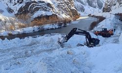 Çığ nedeniyle kapanan Hakkari-Van kara yolu açıldı
