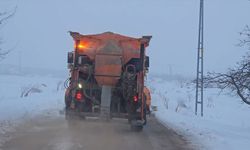 Elazığ, Batman ve Bingöl'de 92 yerleşim yerine ulaşım sağlanamıyor