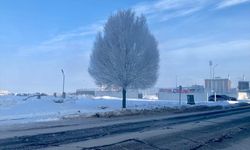 Erzurum, Ardahan ve Kars'ta dondurucu soğuklar etkili oluyor