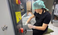 Giresunlu kadın girişimci devlet desteğiyle fındık işleme tesisi kurdu