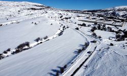 İş makinesi karlı yolları açıyor, ekipler sahipsiz hayvanları besliyor