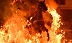 İspanya'da kutsanan atlar ateşin üzerinden atlatıldı