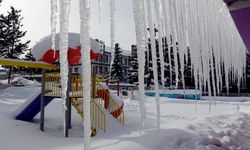 Kars ve Ardahan'da soğuk hava etkili oluyor