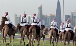 Katar'da, günlük 'deve geçidi' geleneği devam ediyor