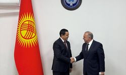 Kırgızistan Sağlık Bakanı: 'Türkiye, tıp alanında dostane bir ülke ve güvenilir bir ortaktır'