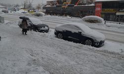 Muş'ta kardan dolayı 51 yerleşim yerine ulaşım sağlanamıyor