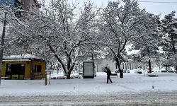 Bitlis, Muş ve Hakkari'de 1030 yerleşim yerine ulaşım sağlanamıyor