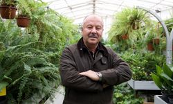 Yerli üretim hazır çim, ithalatı bitirerek maliyetlerin düşmesine katkı sağlıyor