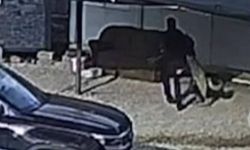 Beslediği köpek saldırdı