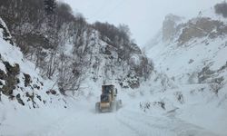 AFAD, 28 il için çığ uyarısı verdi