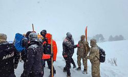 Çığ altında kalan 2 çobanı arama çalışmaları sürüyor