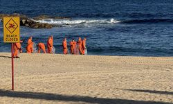 Avustralya'da köpek balıkları 2 çocuğa saldırdı