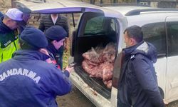 Zonguldak'ta 450 kilogram bozuk et ele geçirildi