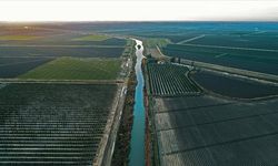 Güneydoğu Anadolu'da su kaynaklarındaki azalış fark edilir seviyeye geldi