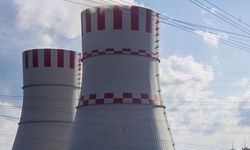 Japonya dünyanın en büyük nükleer santralinde faaliyeti durdurdu
