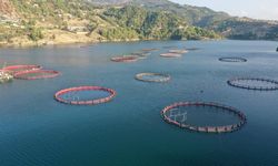 Karadeniz’in su ürünleri ihracatı 36 ülkeye ulaştı