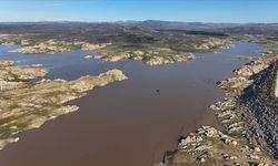 Yağışlar Kayalıköy Barajı'na can suyu oldu