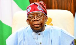 Nijerya Devlet Başkanı Türkiye’yi ziyaret edecek