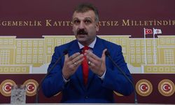 Cumhurbaşkanı Başdanışmanı Saral'dan 'Suça sürüklenen çocuk' eleştirisi