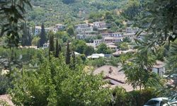 Türkiye'nin en ilginç köy isimleri: Panik, Dertli, Sinek