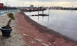 Tekirdağ'da sahil kırmızıya büründü