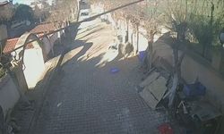 Silivri'de koçun saldırısına uğrayan kişi yaralandı