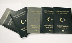 Mühendis Ve Mimarlara Yeşil Pasaport Hakkı Geliyor Mu?