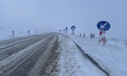 Ardahan-Şavşat kara yolu tipi nedeniyle tır geçişine kapatıldı