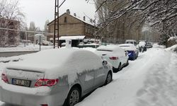 Kars, Ardahan, Tunceli ve Erzurum'da kar yağışı etkili oldu