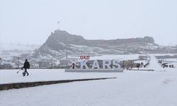 Kars, Ardahan ve Tunceli'de kar etkili oluyor