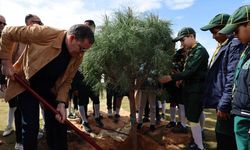 Libya Başbakanı Dibeybe, 17 Şubat Devrimi'nin anısına 100 milyon fidan kampanyası başlattı