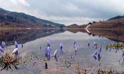 Baharın ikinci müjdecisi yolda: Cemre suya düşecek