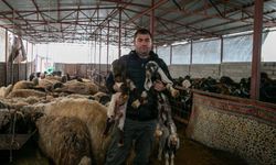 Depremde hayvanlarını kaybeden besici, devlet desteğiyle üretime devam ediyor