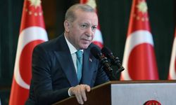 Başkan Erdoğan'dan zeytin ağaçlarını kesen CHP'ye sert sözler