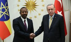 Afrika Boynuzu'nda yeni jeopolitik denge: Türkiye sahada